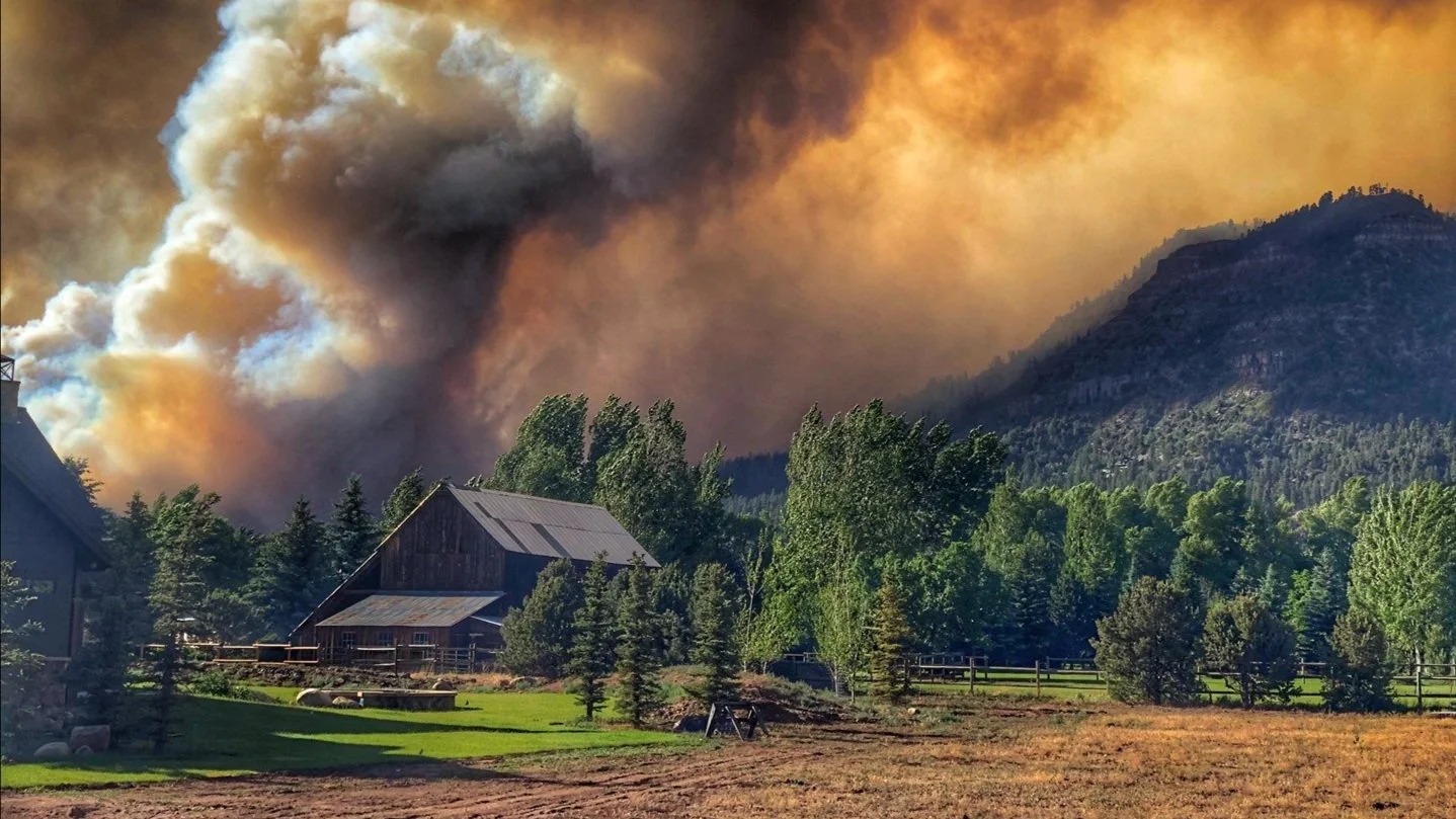 Emergency Management — 2024